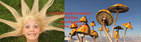 mix Верея