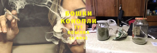 стаф Верхний Тагил