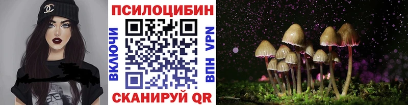 сайты даркнета наркотические препараты  ОМГ ОМГ ссылка  Буинск  Галлюциногенные грибы Cubensis 